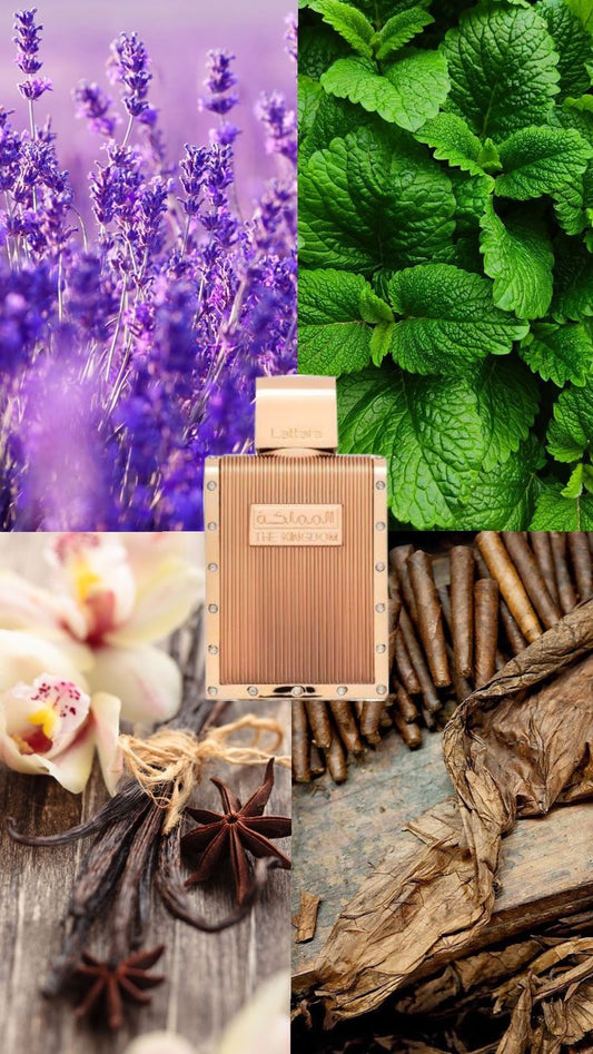 Lattafa The Kingdom for Him Eau de Parfum for Men Lattafa
