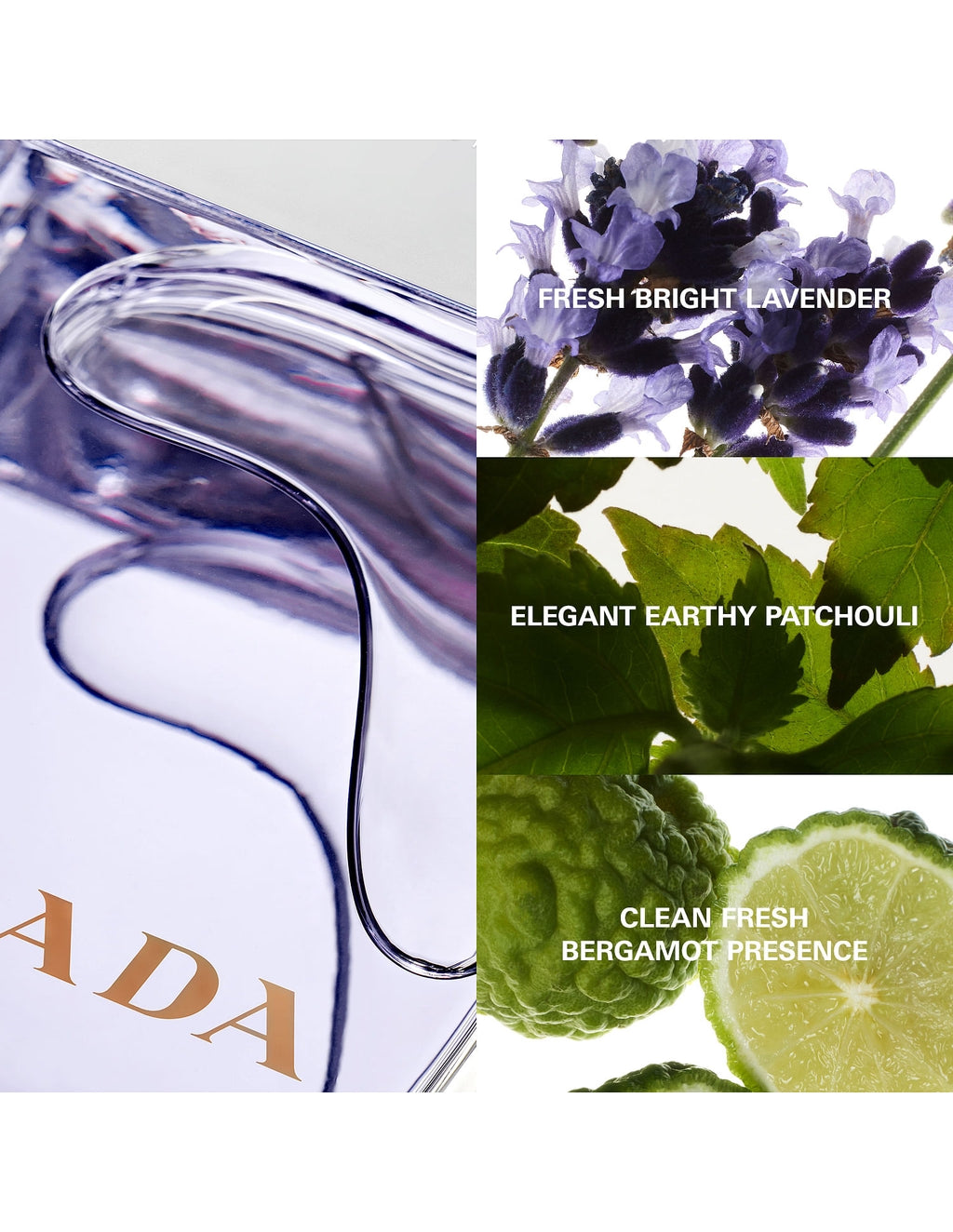 Prada Amber Pour Homme Eau de Toilette for Men