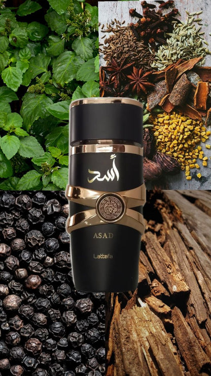 Lattafa Asad Eau de Parfum for Men Lattafa